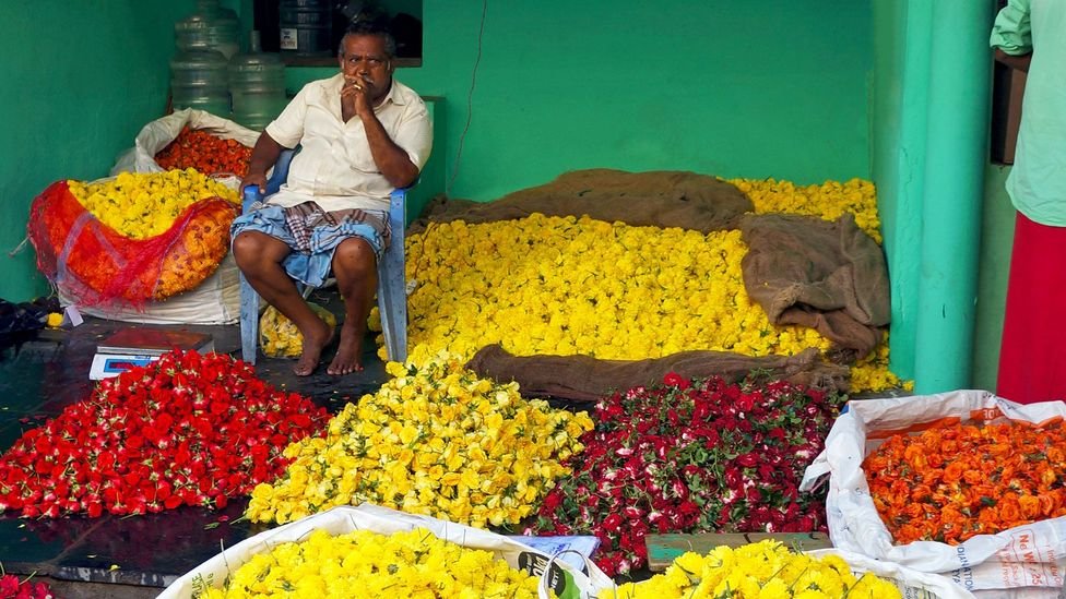 Image accompanying India’s auspicious flowers